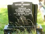 image of grave number 808539